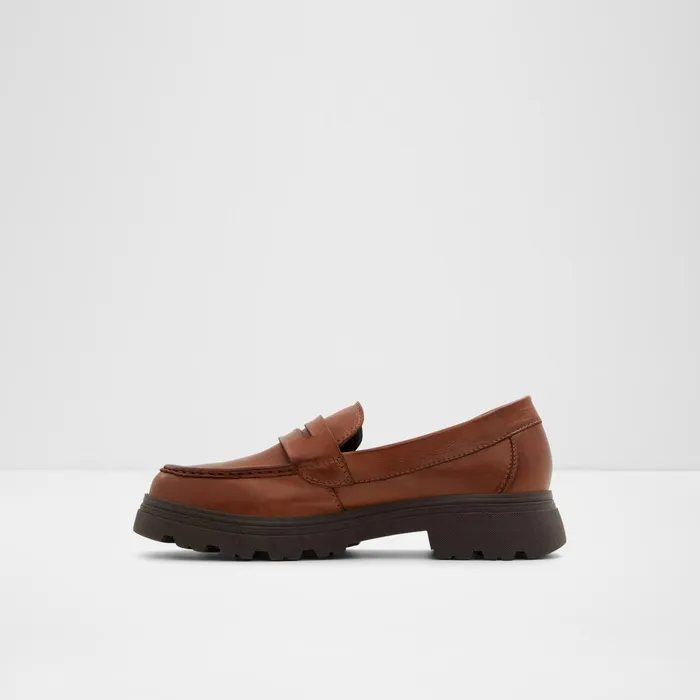 Biglect Brown Women ALDO Loafers and Oxfords