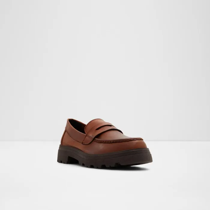 Biglect Brown Women ALDO Loafers and Oxfords