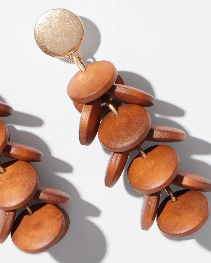 Chico039s Brown Cluster Earrings Brown Women Earrings