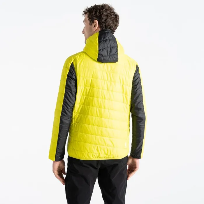Dare 2b Touring Padded Jacket Yellow Grey Black Men Waterproof Jackets