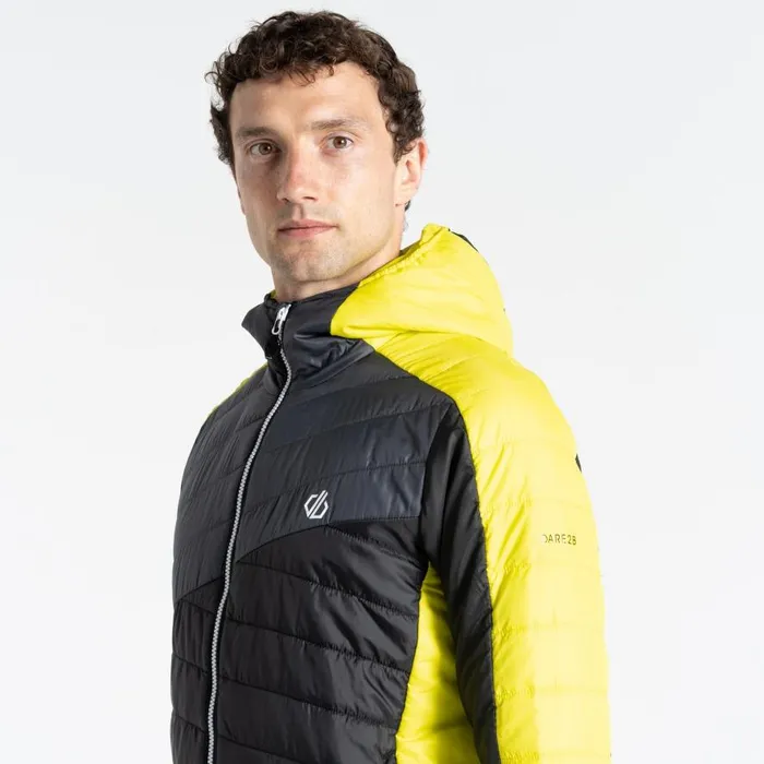 Dare 2b Touring Padded Jacket Yellow Grey Black Men Waterproof Jackets