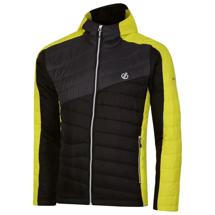 Dare 2b Touring Padded Jacket Yellow Grey Black Men Waterproof Jackets