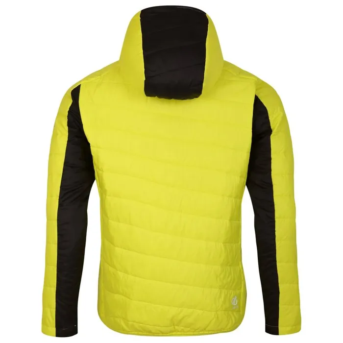 Dare 2b Touring Padded Jacket Yellow Grey Black Men Waterproof Jackets