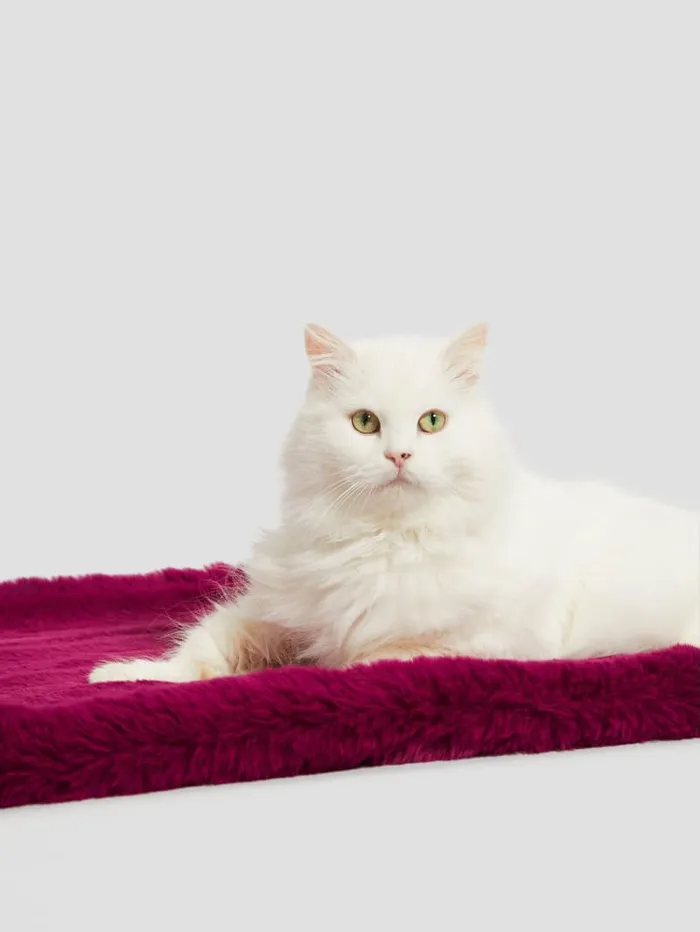 GUESS Home FauxFur Pet Carpet Purple 8211 Women