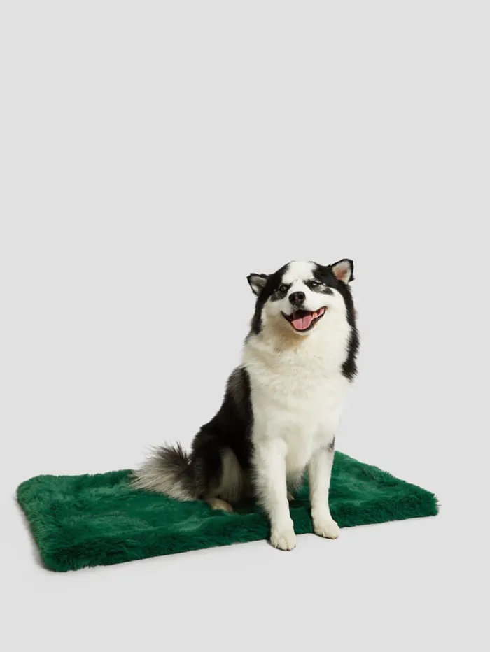 GUESS Home FauxFur Pet Carpet Purple 8211 Women