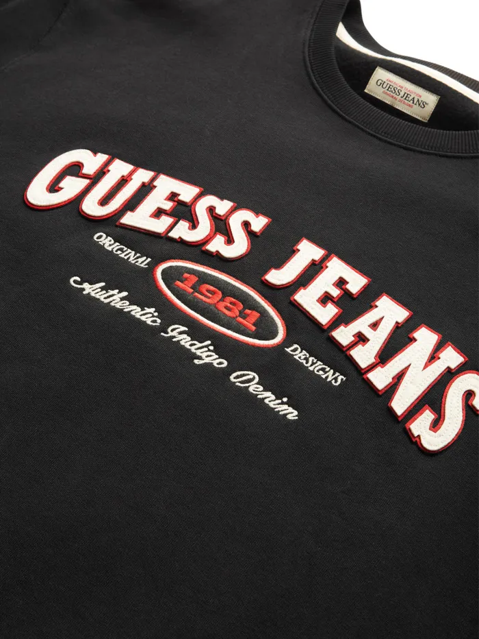 GUESS Hoodies and Sweaters Original Design Sweatshirt Blue 8211 Men