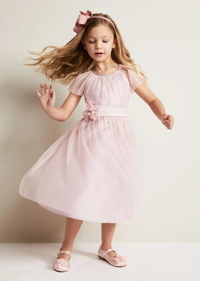 Jasmine Tulle Fit And Flare Dress Antique Rose Women Phase Eight Dresses Jasmine Tulle Fit And Flare Dress Antique Rose Women Phase Eight Dresses