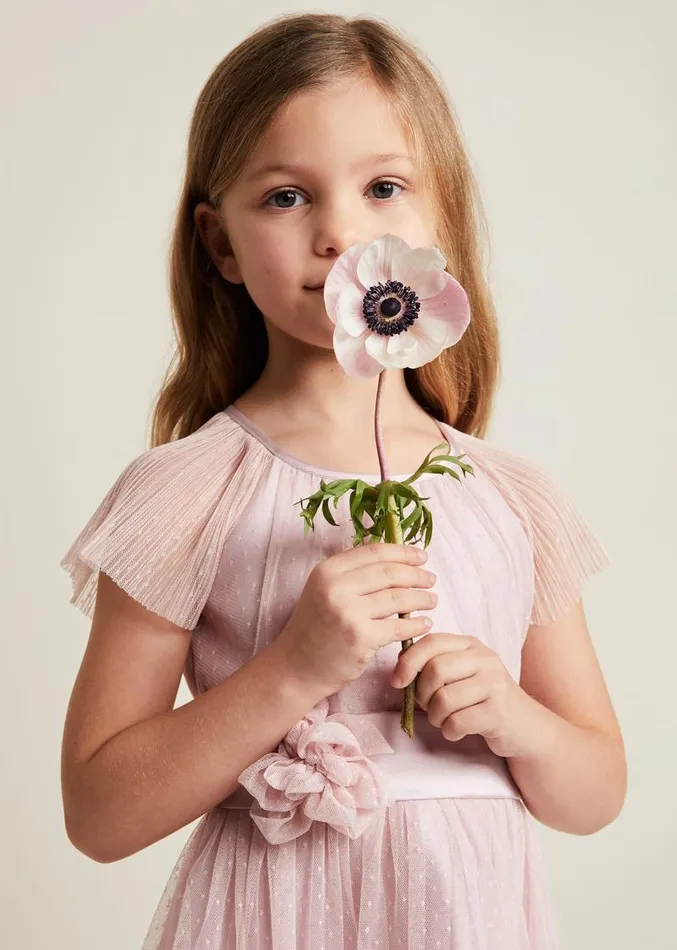 Jasmine Tulle Fit And Flare Dress Antique Rose Women Phase Eight Dresses Jasmine Tulle Fit And Flare Dress Antique Rose Women Phase Eight Dresses