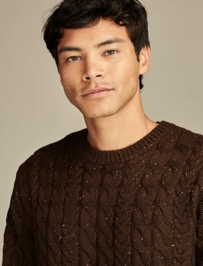 Lucky Brand Sweaters Men Cable Crew Neck Sweater Chocolate Torte