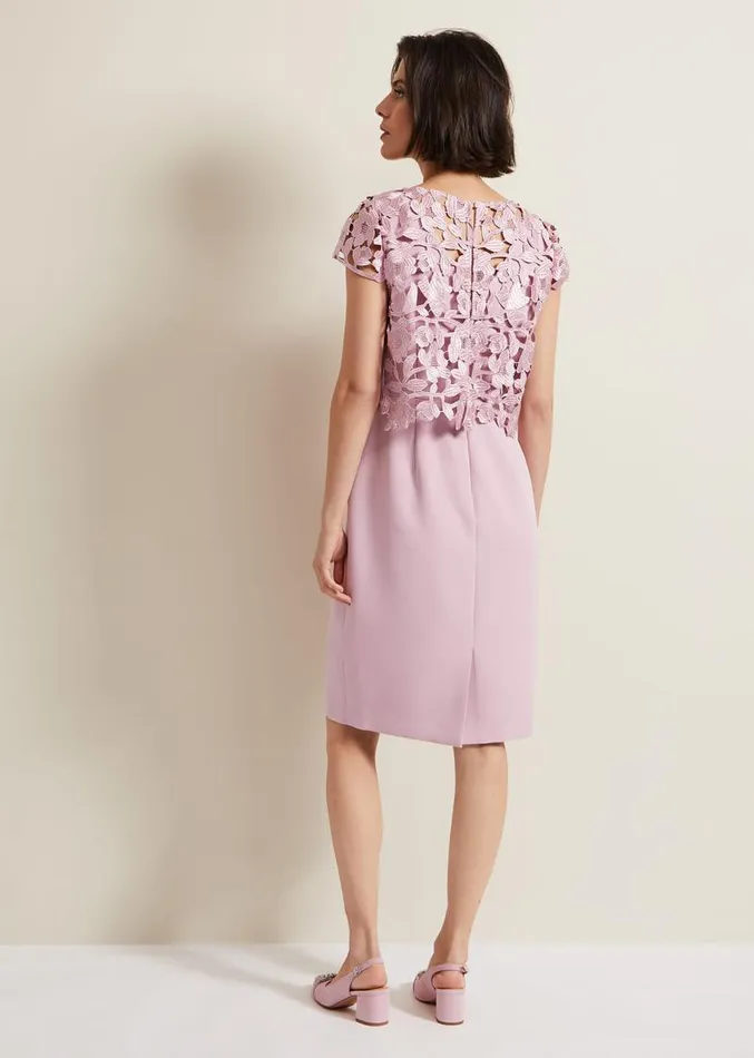 Tallula Lace Dress Pink Women Phase Eight Dresses