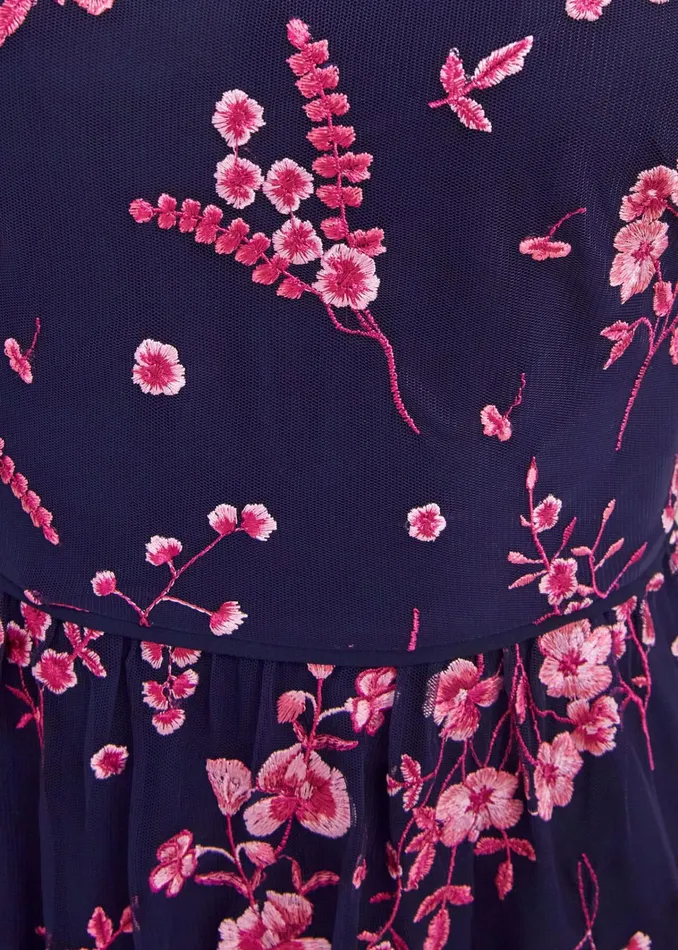Women Bethany Embroidered Dress Navy Pink Hobbs Dresses and Jumpsuits