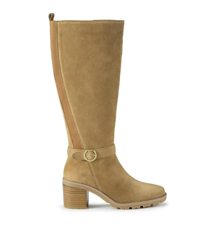 Women Della Tall Boot Cognac Suede Baretraps Knee High Boots