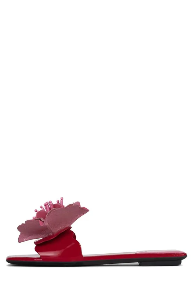 Women Jeffrey Campbell Flat Bloomsday