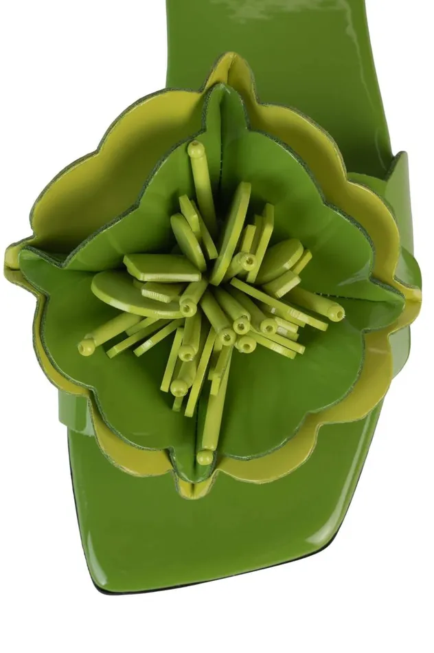 Women Jeffrey Campbell Flat Bloomsday