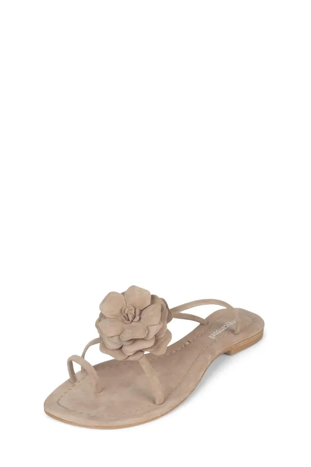 Women Jeffrey Campbell Flat Tropico