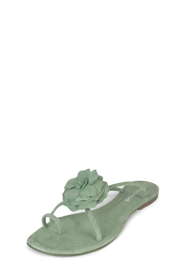 Women Jeffrey Campbell Flat Tropico