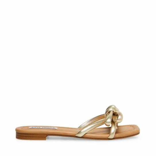 Women MAURA GOLD Gold Steve Madden Sandals Women MAURA GOLD Gold Steve Madden Sandals