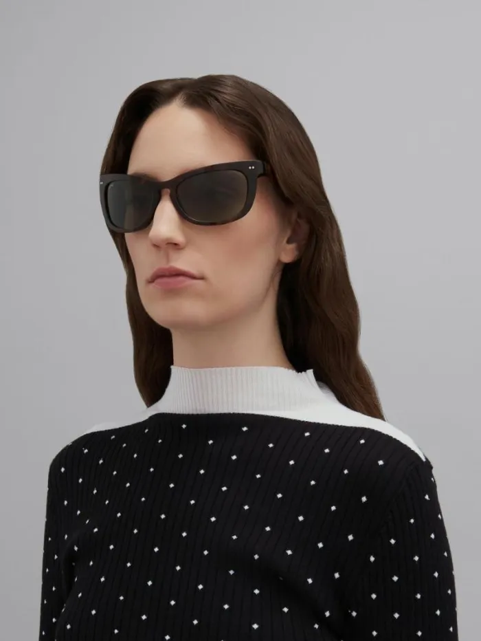 WomenMen Marni Sunglasses Havana Isamu Sunglasses