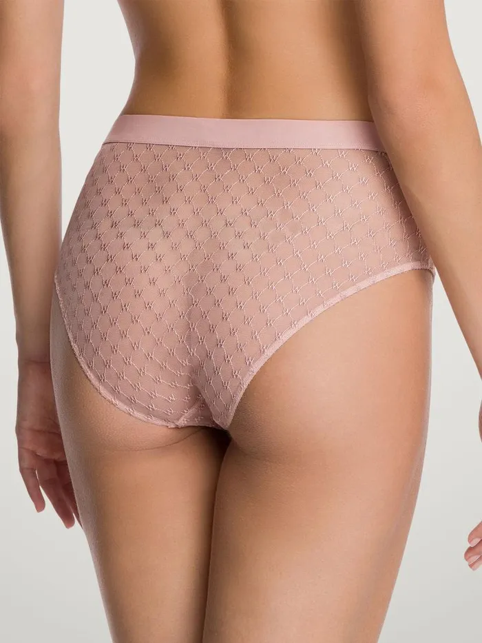 Women Panties Wolford Sheer Logo Modern Brief Powder Pink