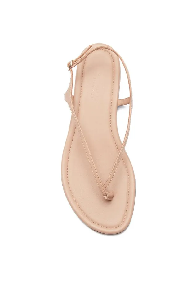 Women Sandals Gabriela Hearst Gia Flat Sandal In Dark Camel Leather