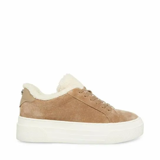 Women STUDIOF TAUPE SUEDE Taupe Suede Steve Madden Sneakers