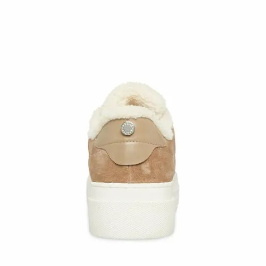 Women STUDIOF TAUPE SUEDE Taupe Suede Steve Madden Sneakers Women STUDIOF TAUPE SUEDE Taupe Suede Steve Madden Sneakers